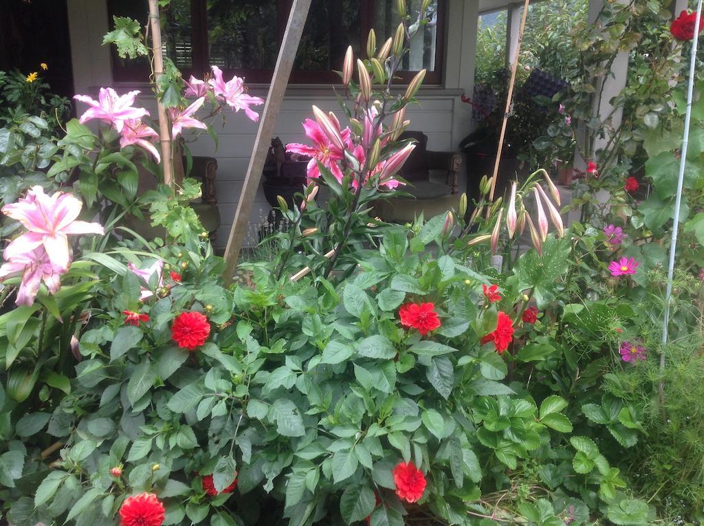 Bed and Breakfast Kippilaw House Picton Esterno foto