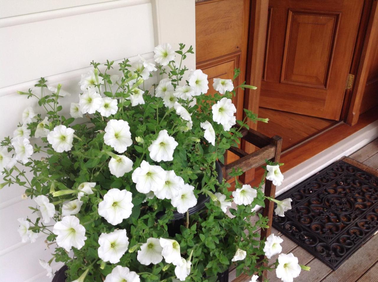 Bed and Breakfast Kippilaw House Picton Esterno foto